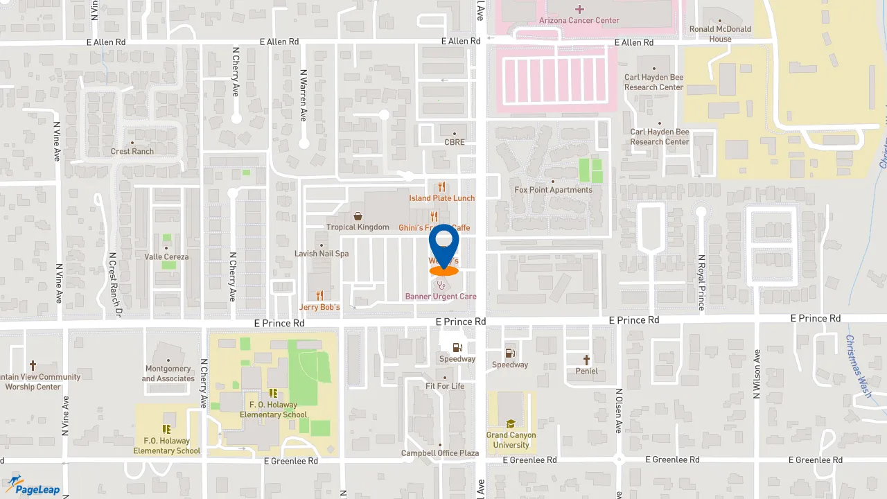 https://pageleap.com map showing location of Wendy&#039;s in Tucson.