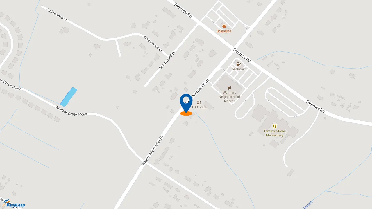 PageLeap.com map showing location of Wendy's in Goldsboro.