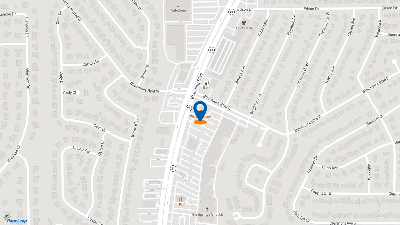 https://pageleap.com map showing location of Whataburger in Orange Park.